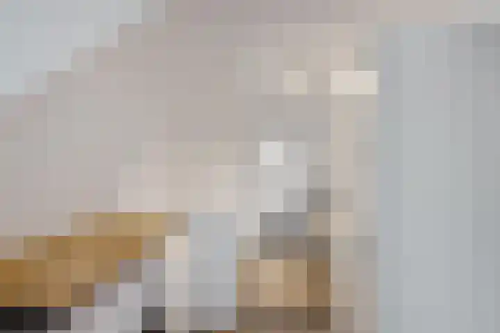 Beatrixstraat 12 Zeijen thumbnail 15