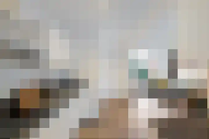 Beatrixstraat 12 Zeijen thumbnail 7