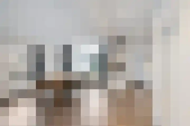 Beatrixstraat 12 Zeijen thumbnail 9