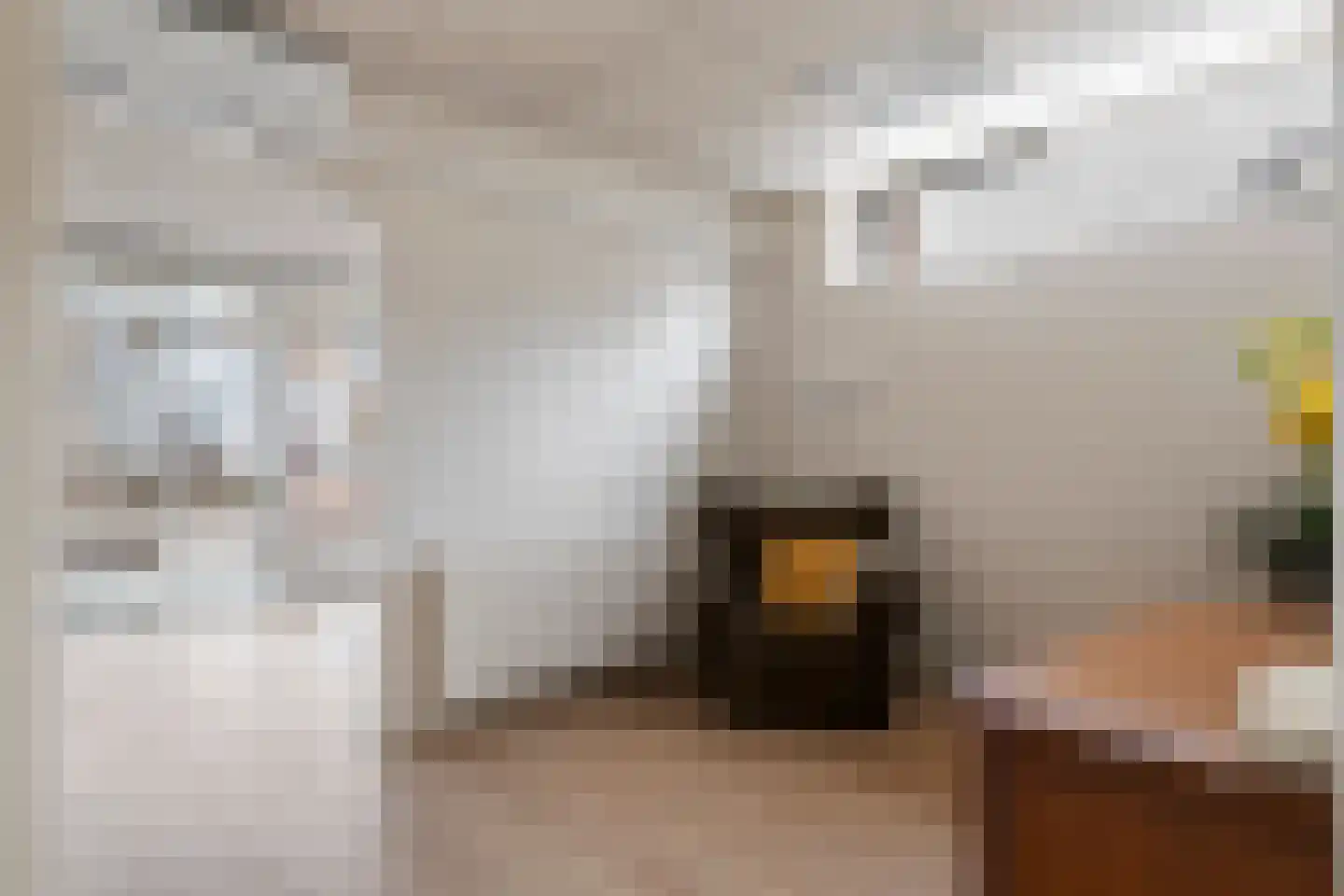 Beatrixstraat 13 Beneden-Leeuwen thumbnail 15
