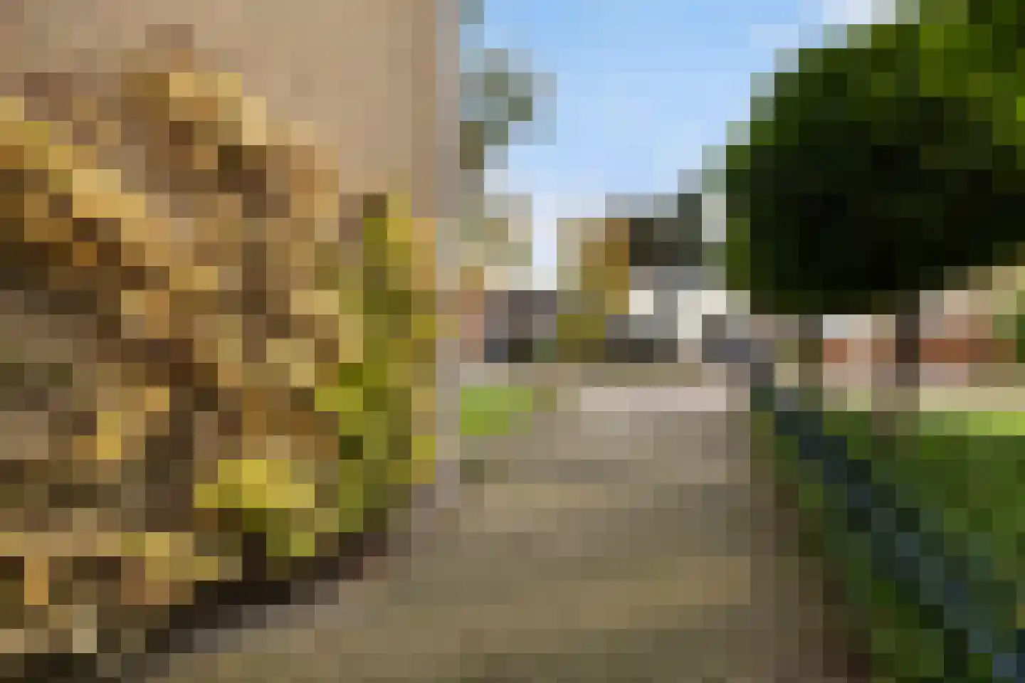 Beatrixstraat 13 Buitenpost thumbnail 10