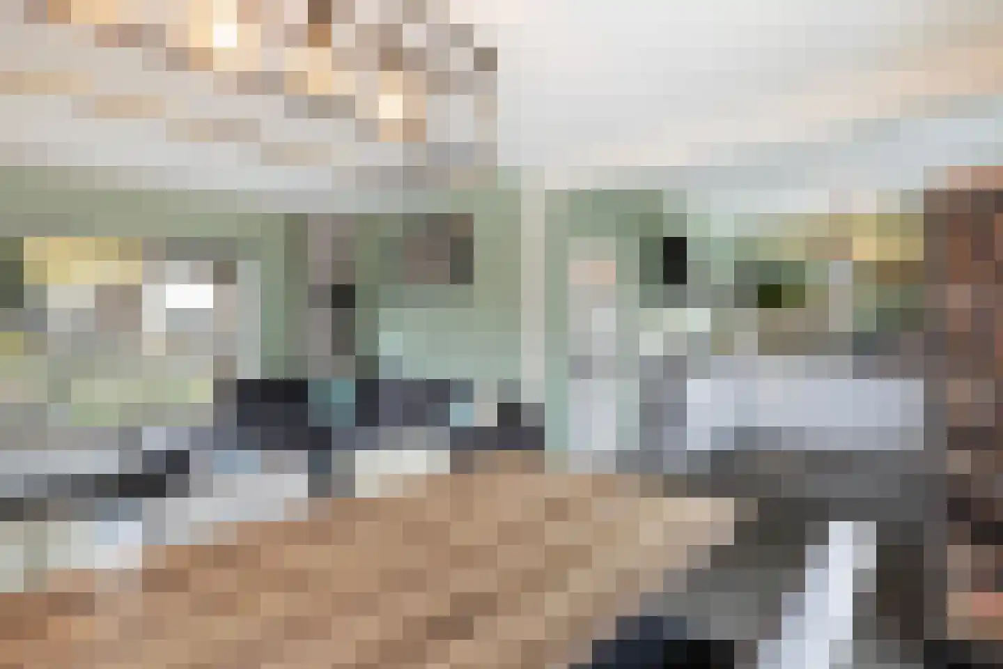 Beatrixstraat 13 Buitenpost thumbnail 14