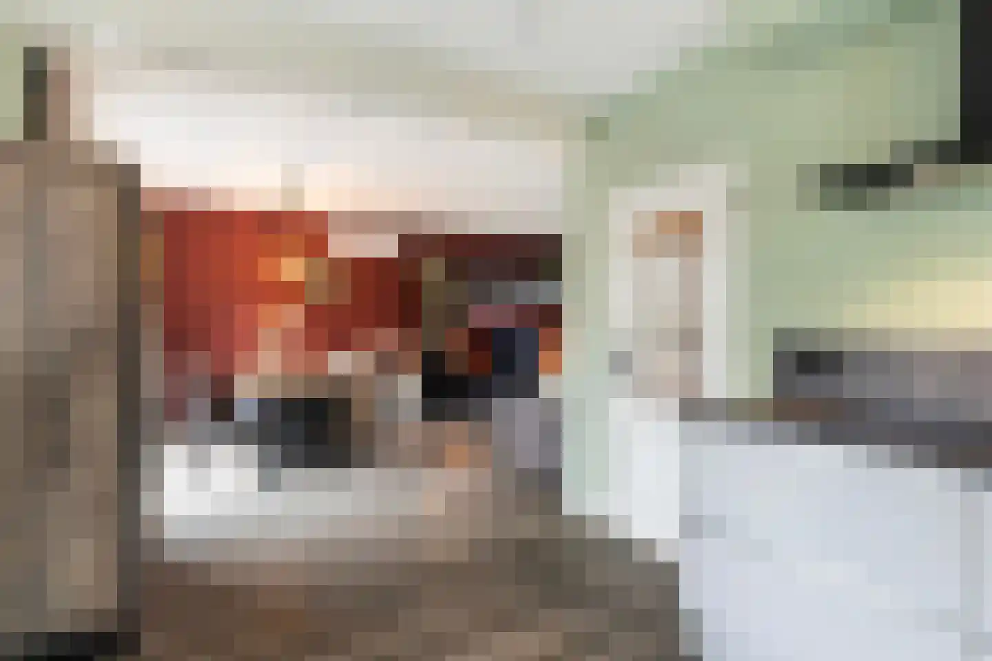 Beatrixstraat 13 Buitenpost thumbnail 18