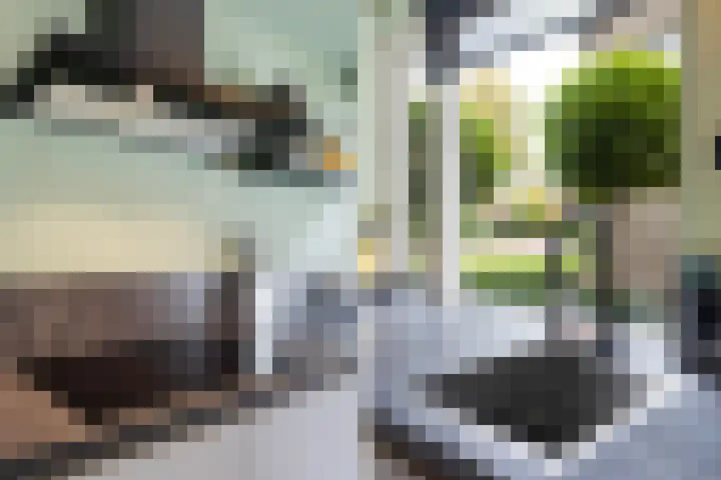Beatrixstraat 13 Buitenpost thumbnail 19