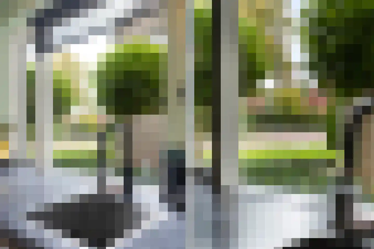 Beatrixstraat 13 Buitenpost thumbnail 20