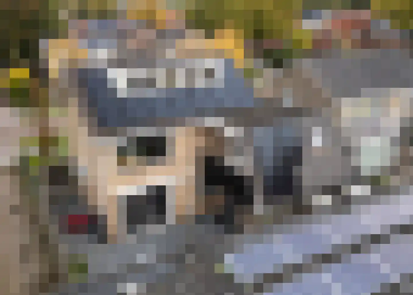 Beatrixstraat 13 Buitenpost thumbnail 23