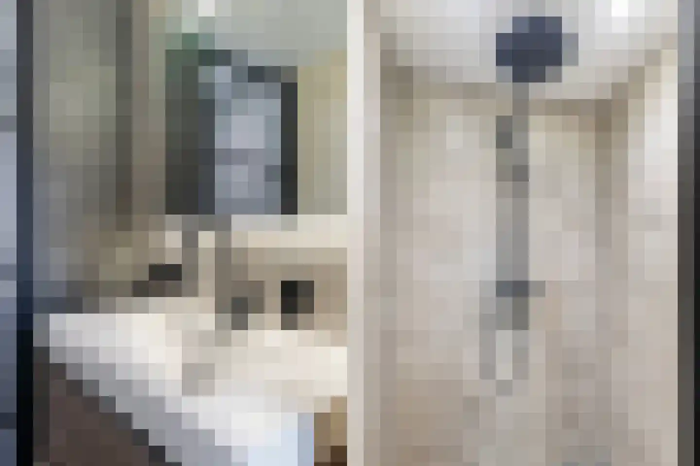 Beatrixstraat 13 Buitenpost thumbnail 37