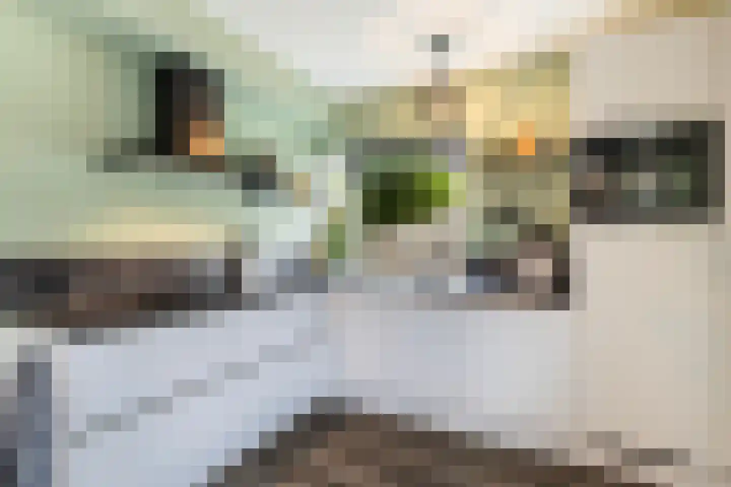 Beatrixstraat 13 Buitenpost thumbnail 4