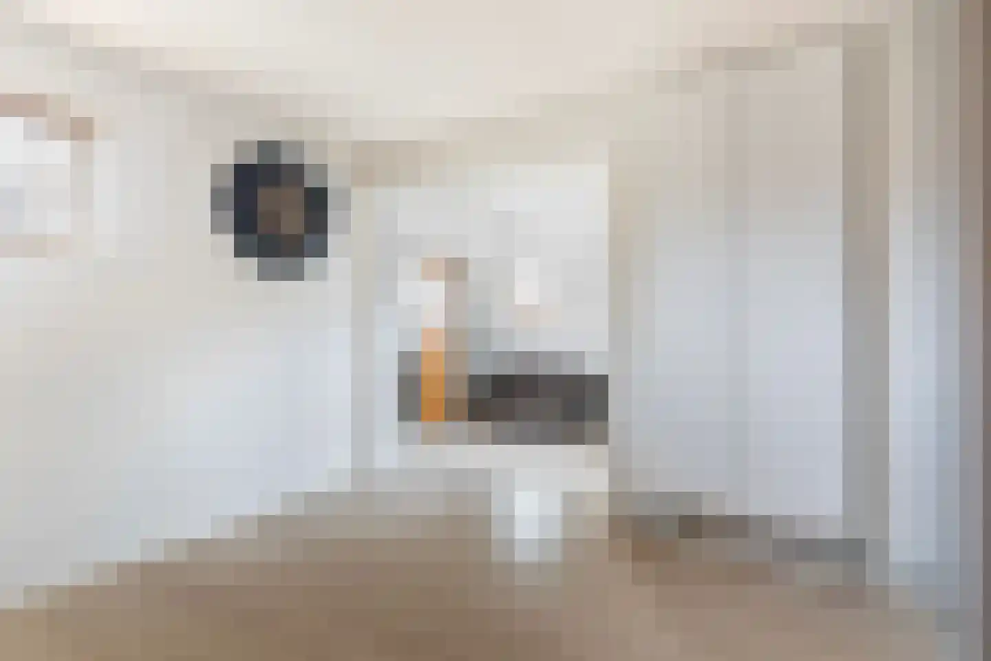 Beatrixstraat 13 Buitenpost thumbnail 40