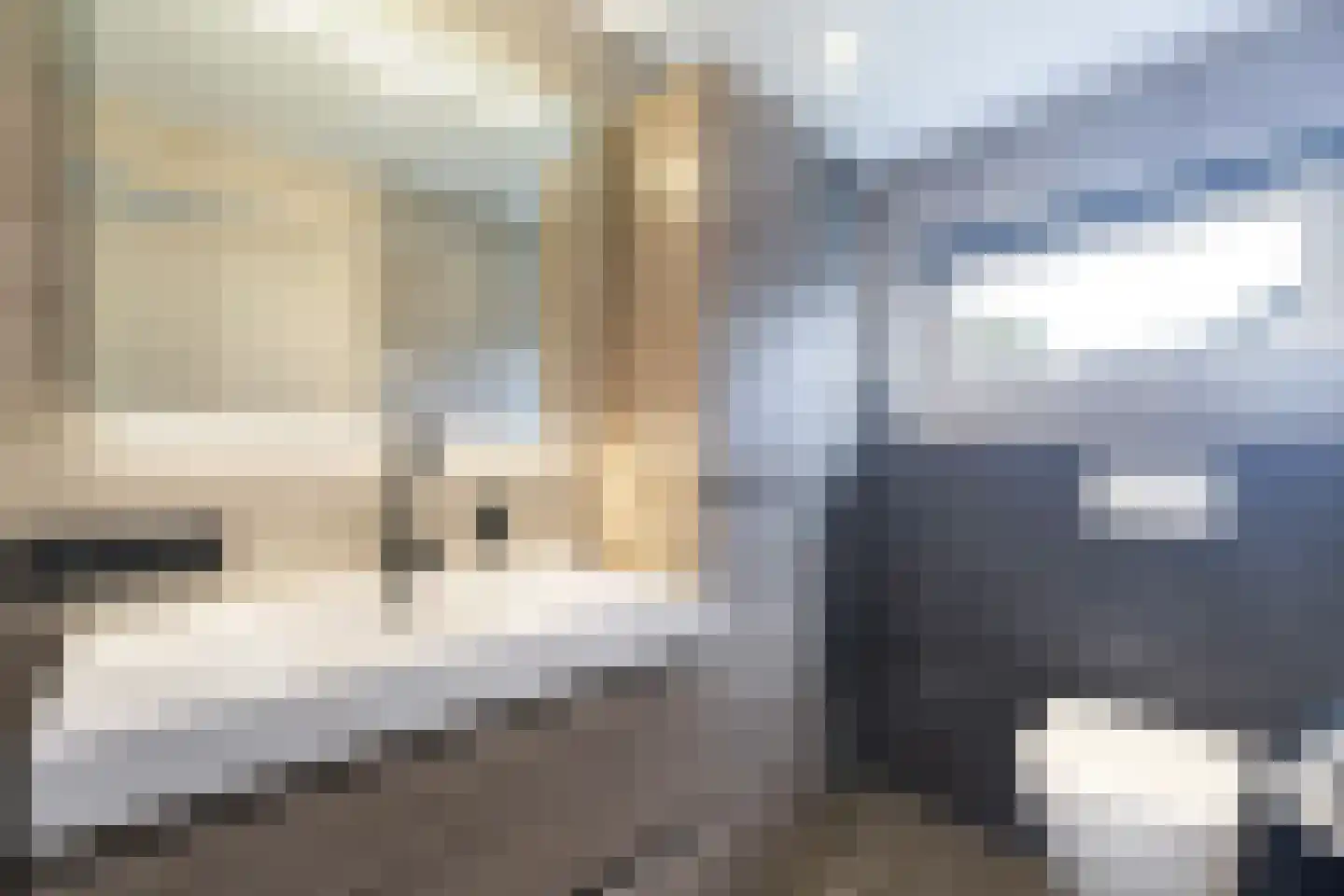 Beatrixstraat 13 Buitenpost thumbnail 5