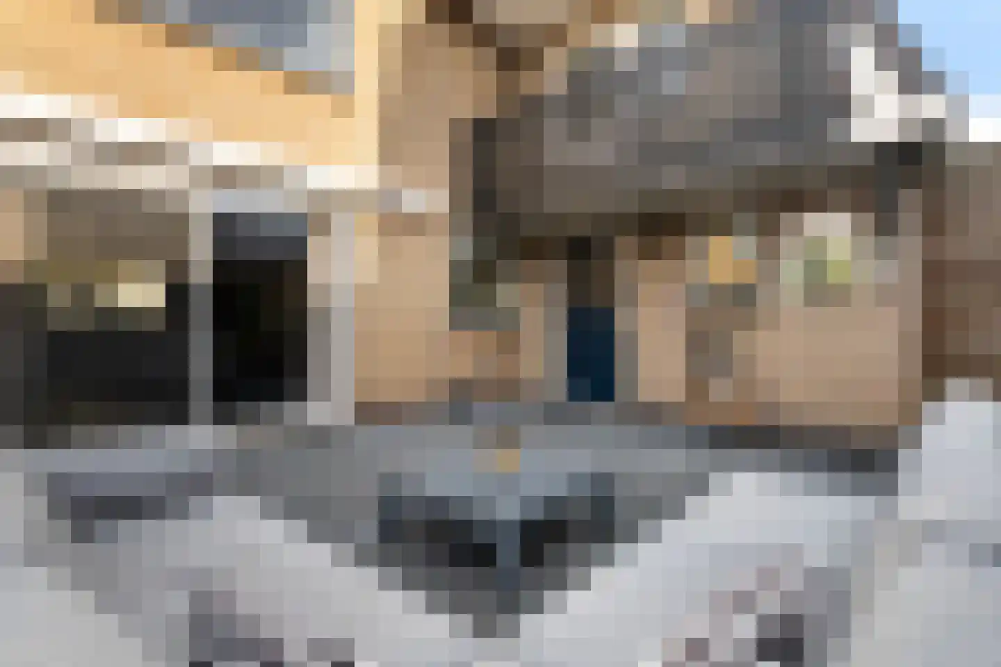 Beatrixstraat 13 Buitenpost thumbnail 6