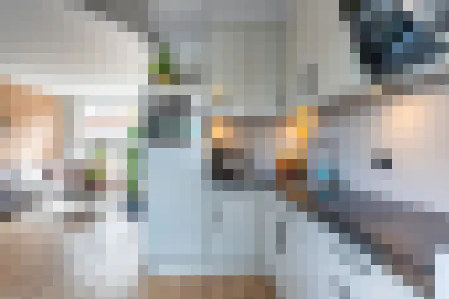 Beatrixstraat 13 Lisse thumbnail 14