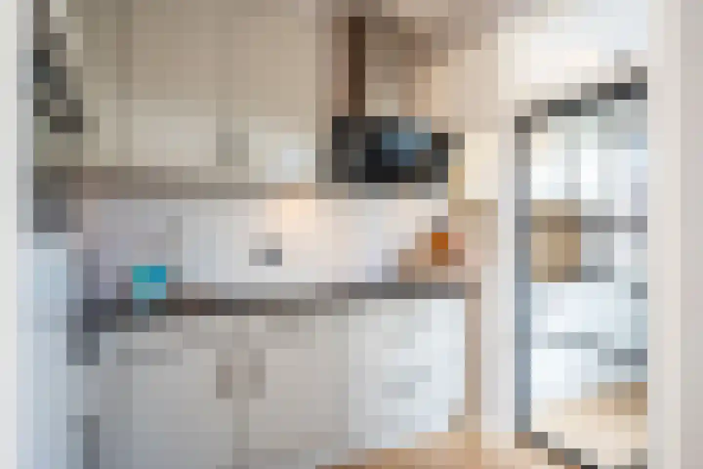 Beatrixstraat 13 Lisse thumbnail 15