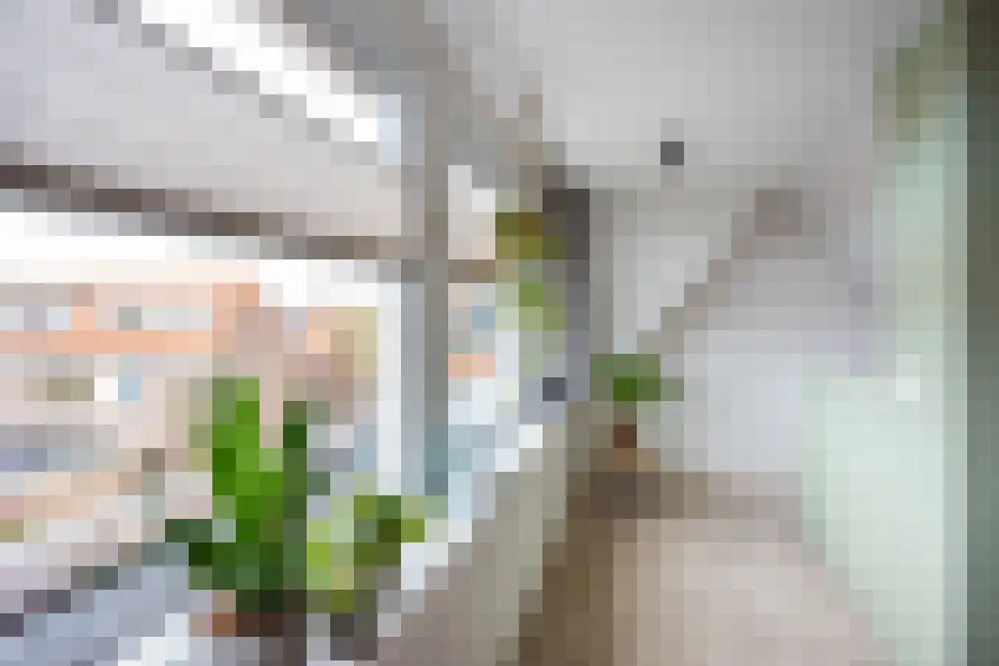 Beatrixstraat 13 Lisse thumbnail 31