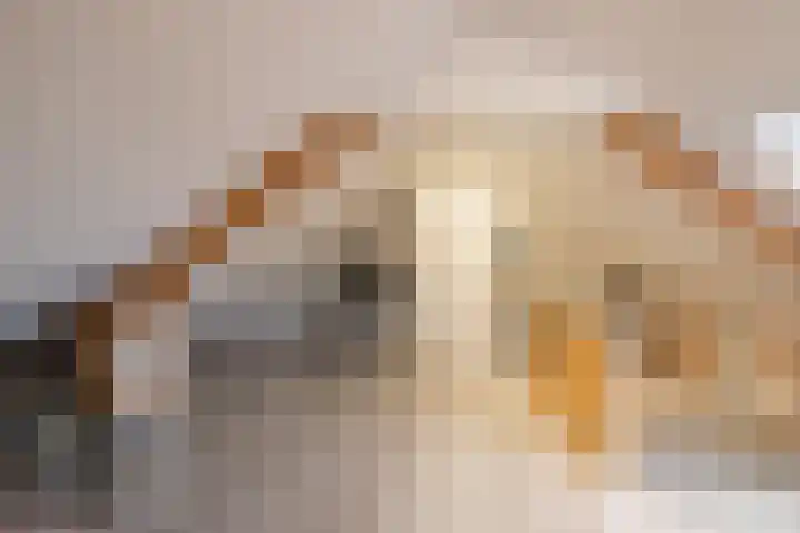 Beatrixstraat 13 Maastricht thumbnail 18