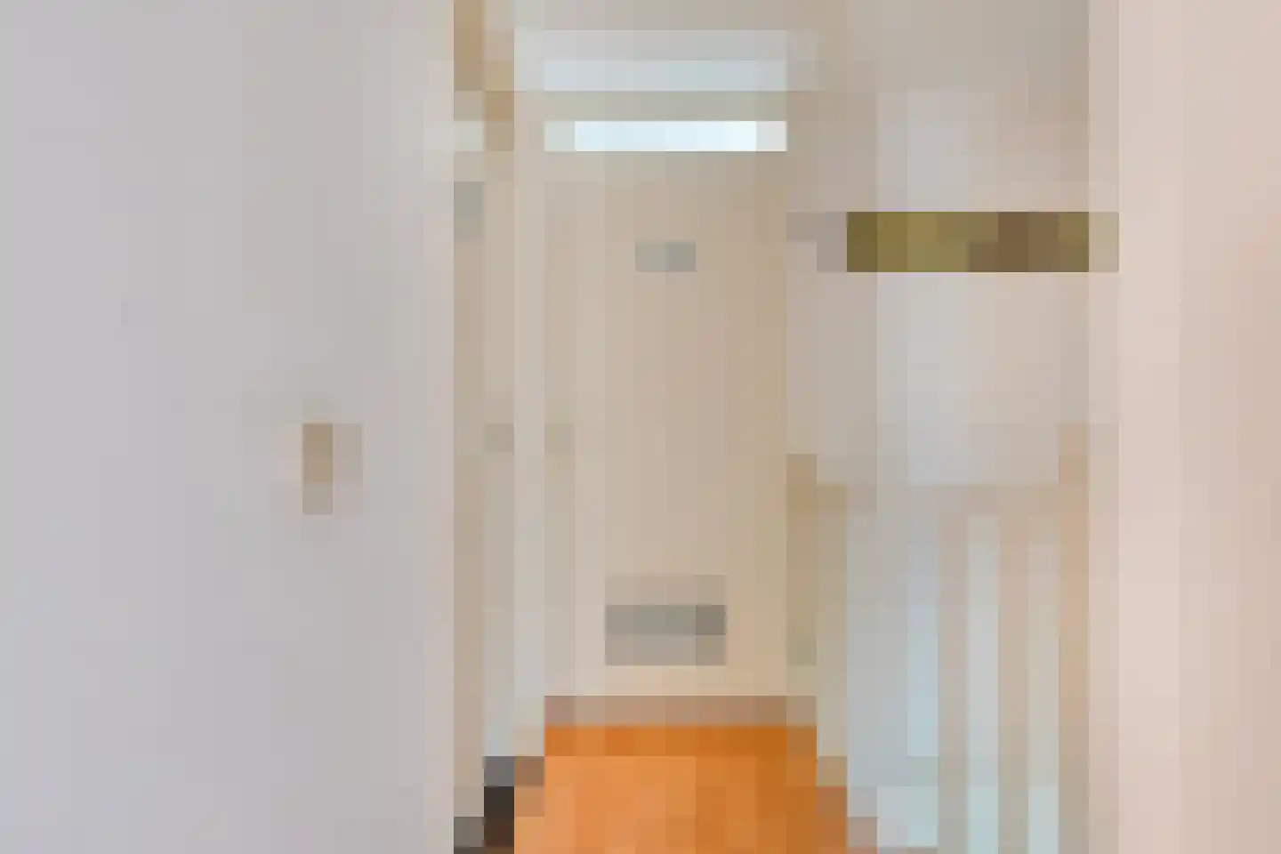 Beatrixstraat 13 Meerlo thumbnail 18