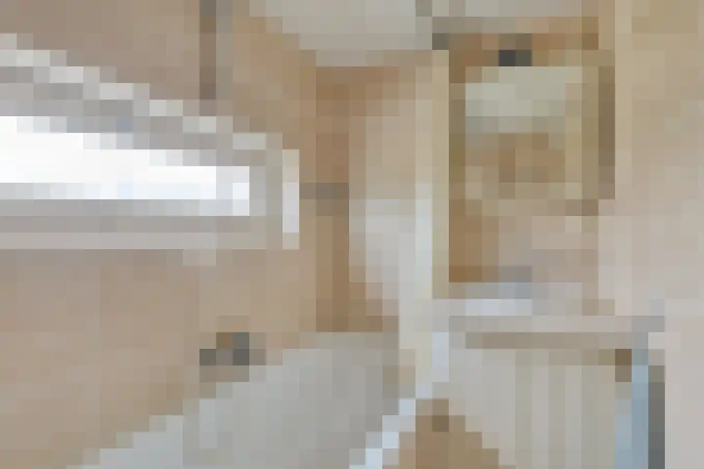 Beatrixstraat 13 Meerlo thumbnail 22