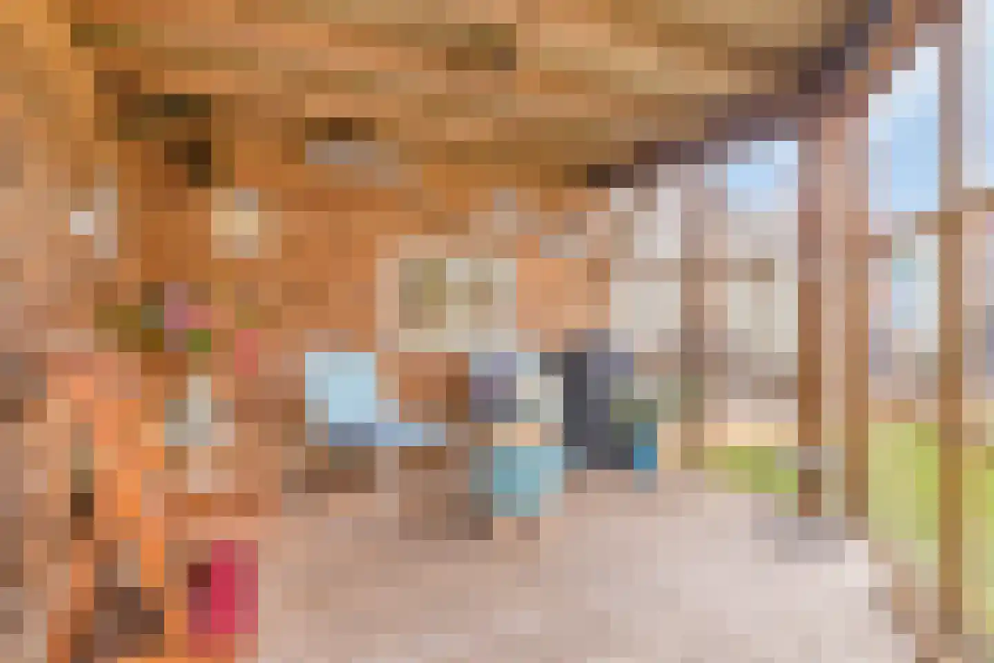 Beatrixstraat 13 Meerlo thumbnail 27