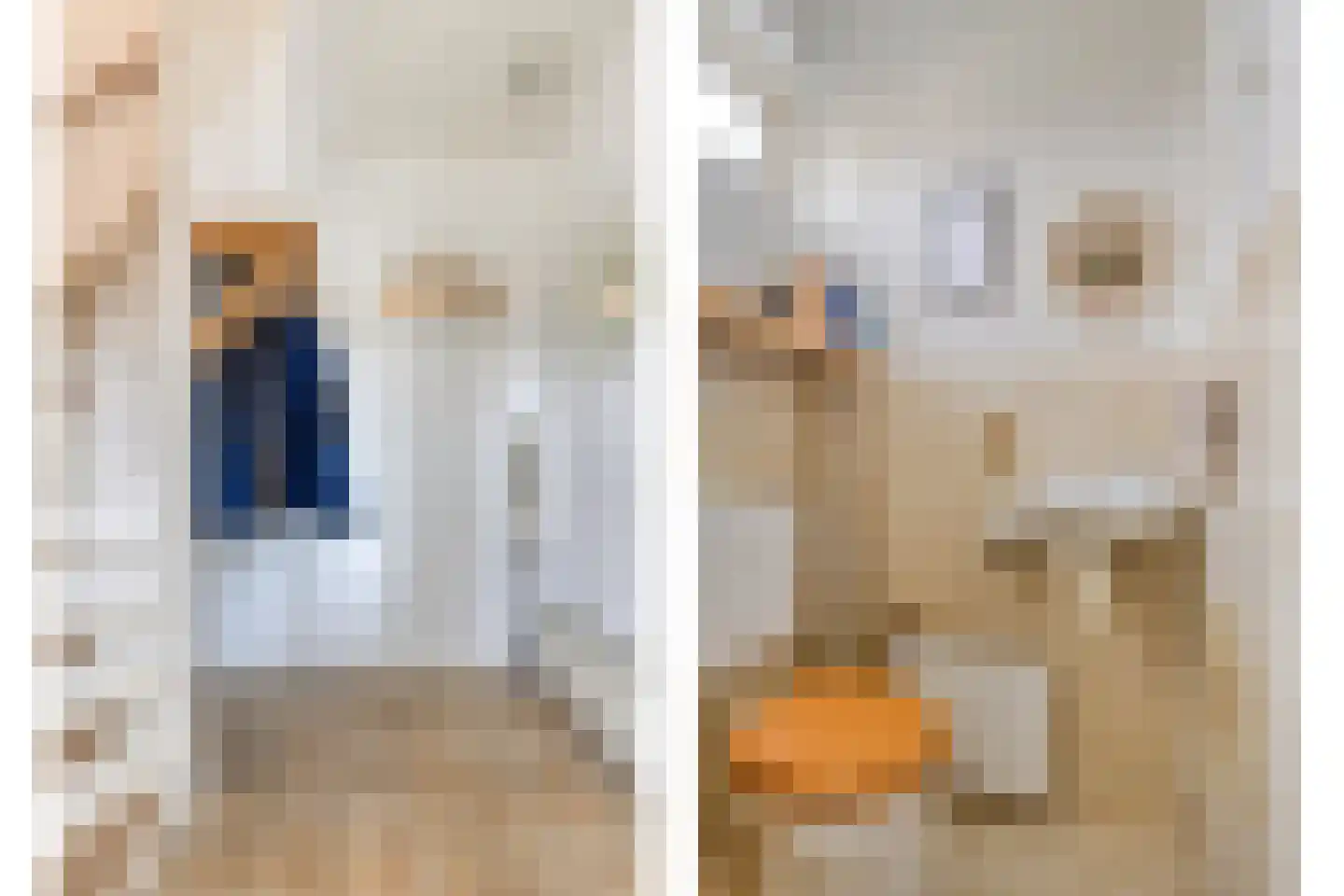 Beatrixstraat 13 Meerlo thumbnail 6