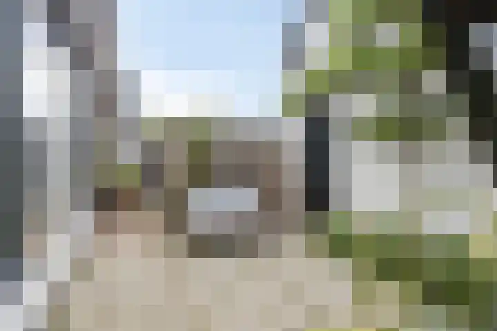 Beatrixstraat 13 Veenendaal thumbnail 26