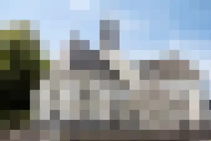 Beatrixstraat 13 Veenendaal thumbnail 31