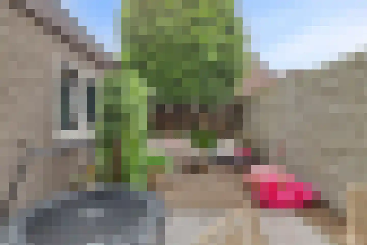 Beatrixstraat 13 Yerseke thumbnail 33