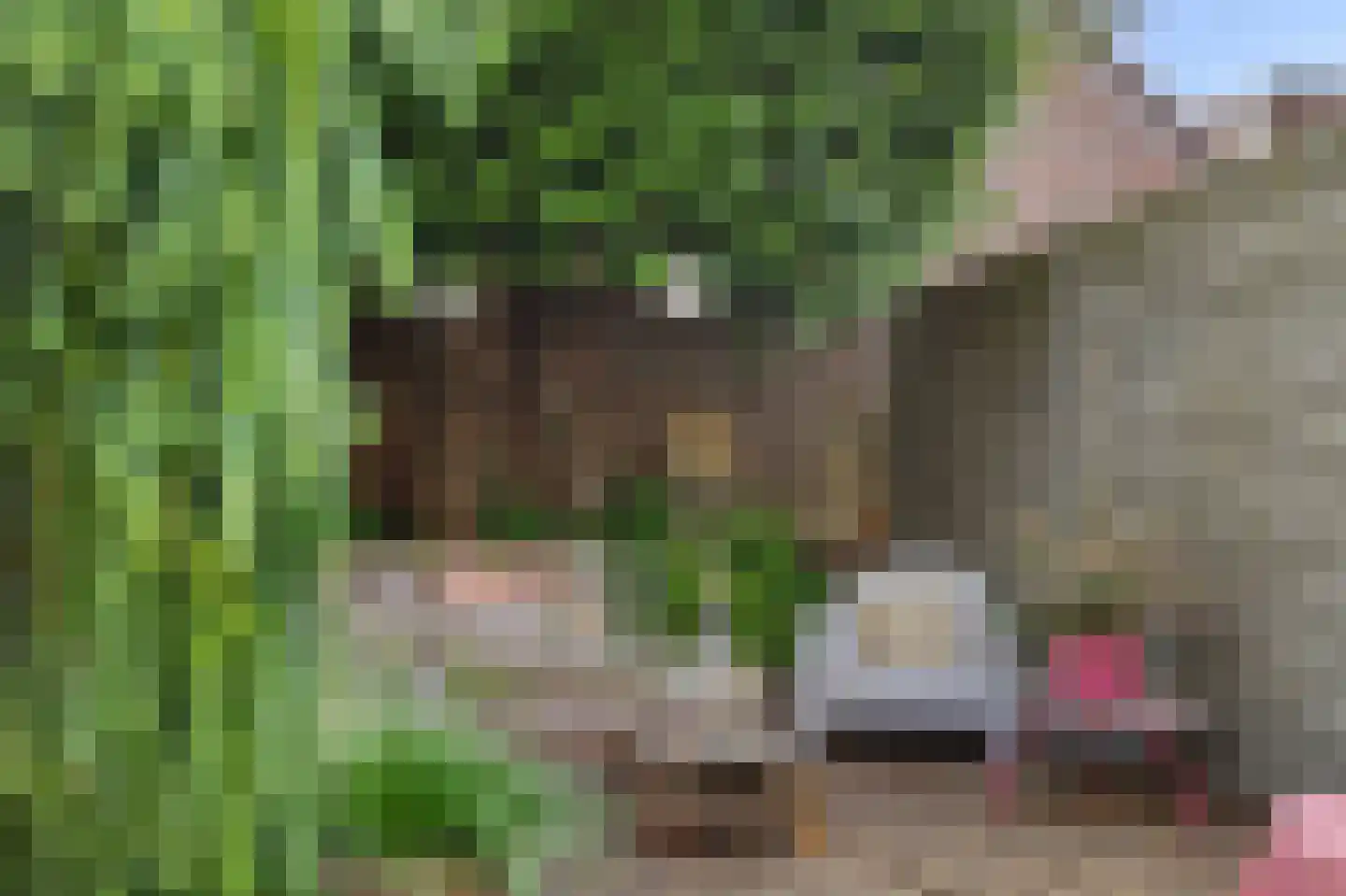 Beatrixstraat 13 Yerseke thumbnail 34