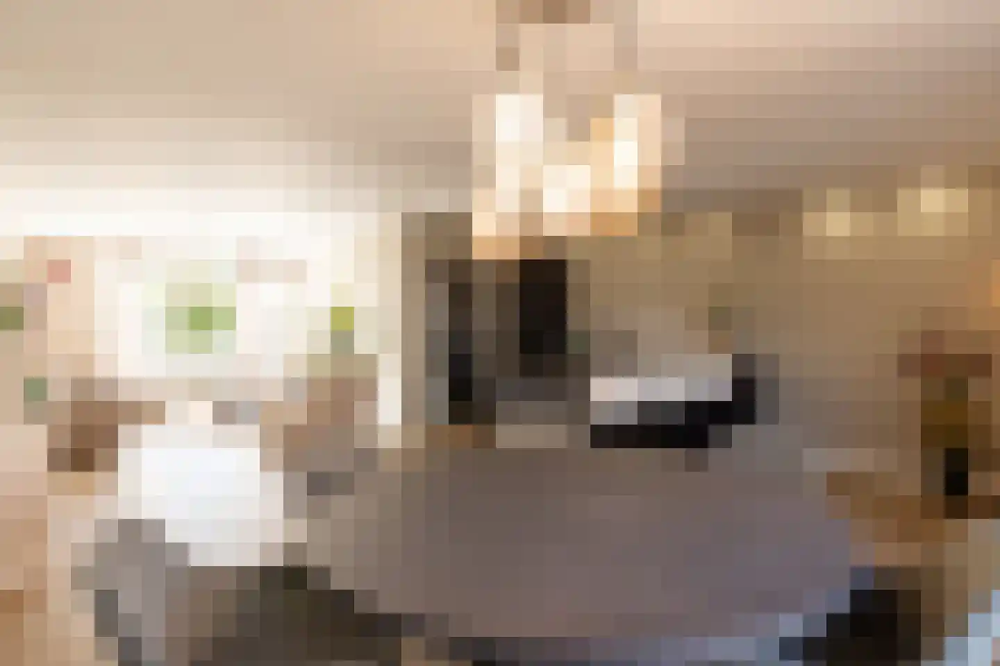 Beatrixstraat 14 Etten thumbnail 23