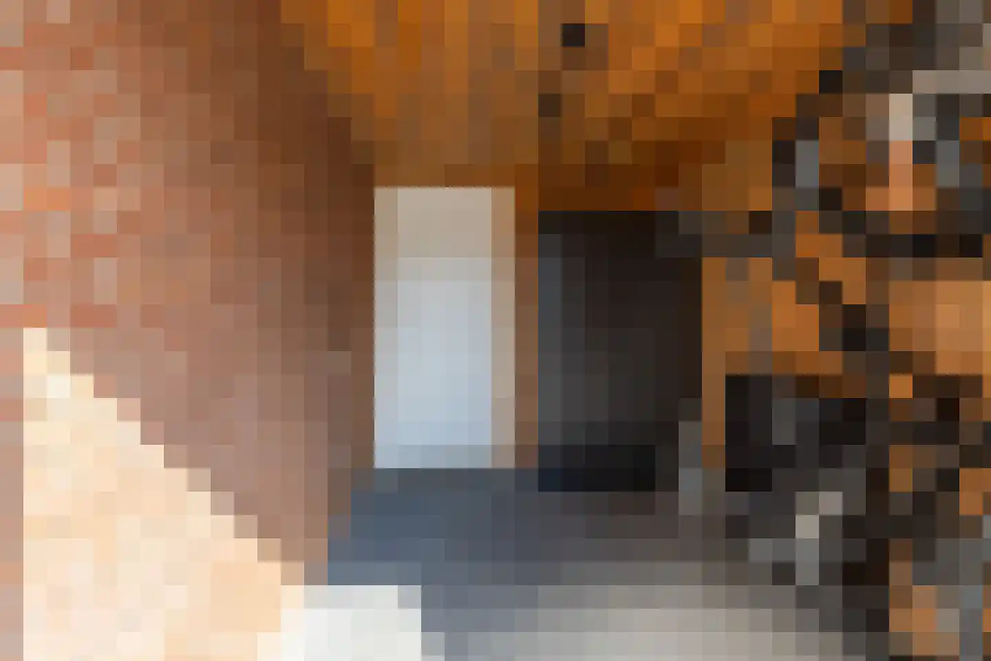 Beatrixstraat 14 Etten thumbnail 28