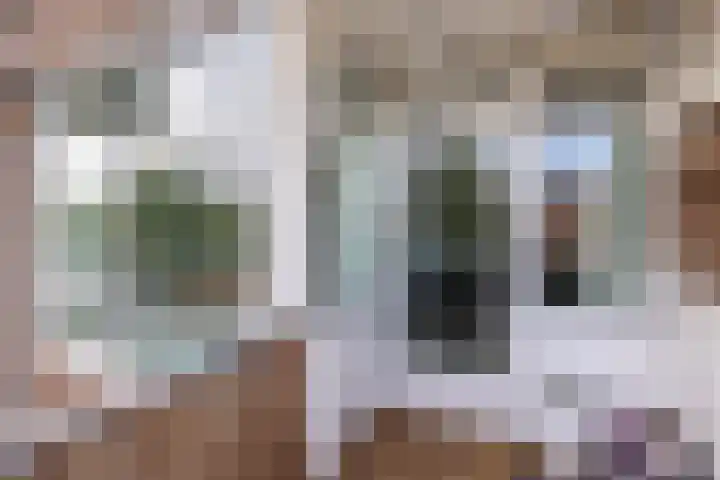 Beatrixstraat 14 Halfweg thumbnail 12