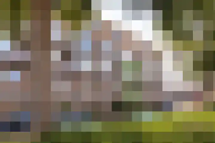 Beatrixstraat 14 Halfweg thumbnail 5