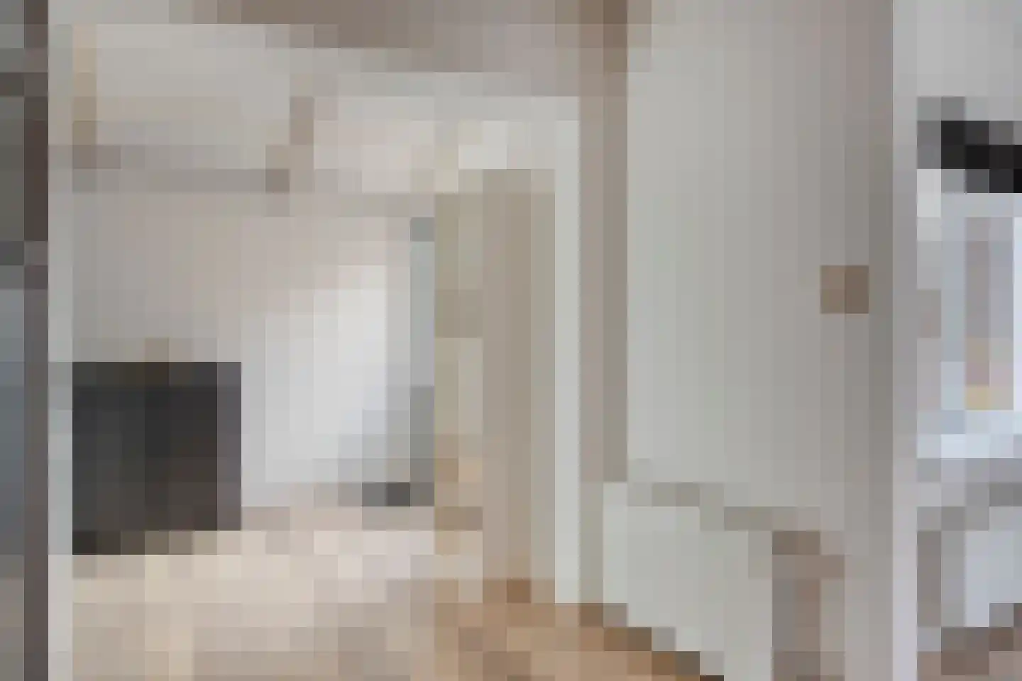 Beatrixstraat 14 Kloosterzande thumbnail 10