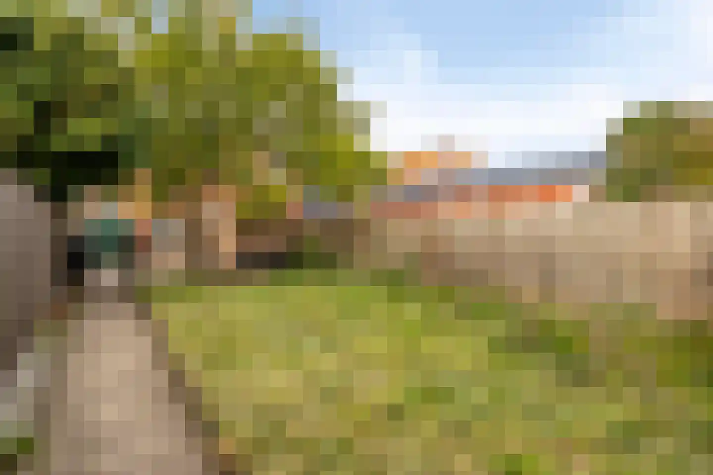 Beatrixstraat 14 Kloosterzande thumbnail 21