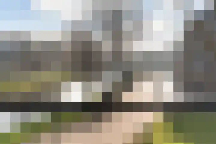 Beatrixstraat 14 Sneek thumbnail 42
