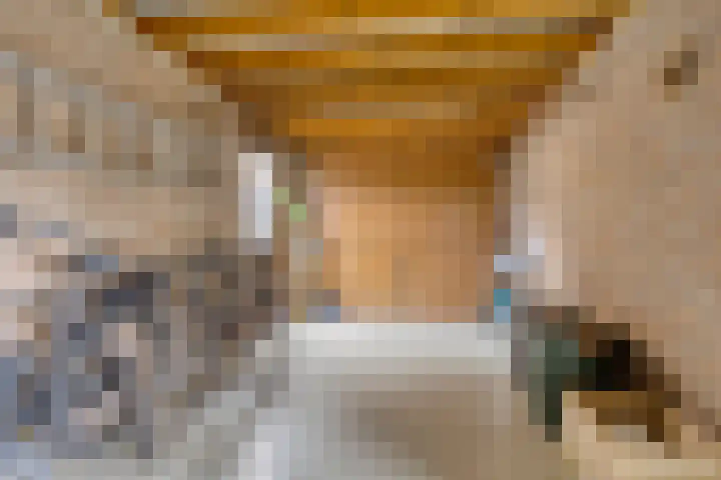 Beatrixstraat 15 Borger thumbnail 18