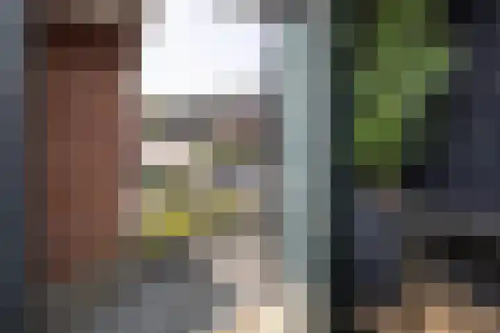 Beatrixstraat 15 de Lutte thumbnail 10