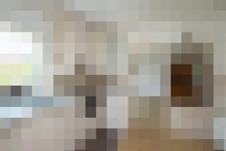 Beatrixstraat 15 de Lutte thumbnail 17