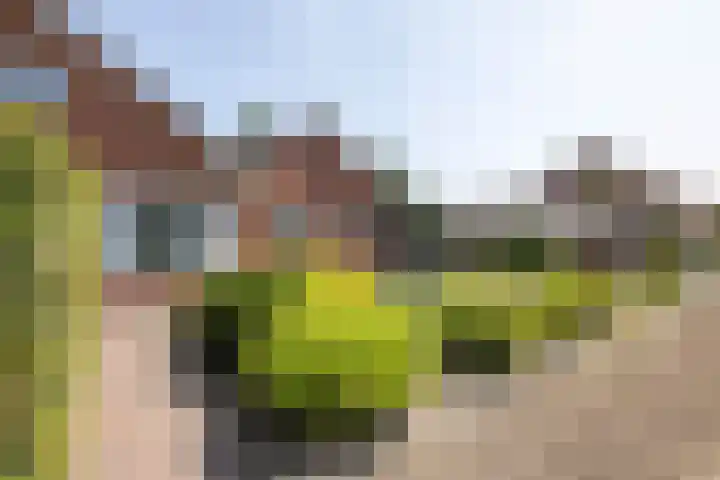 Beatrixstraat 15 de Lutte thumbnail 21