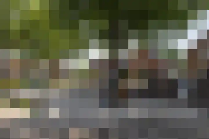Beatrixstraat 15 de Lutte thumbnail 27