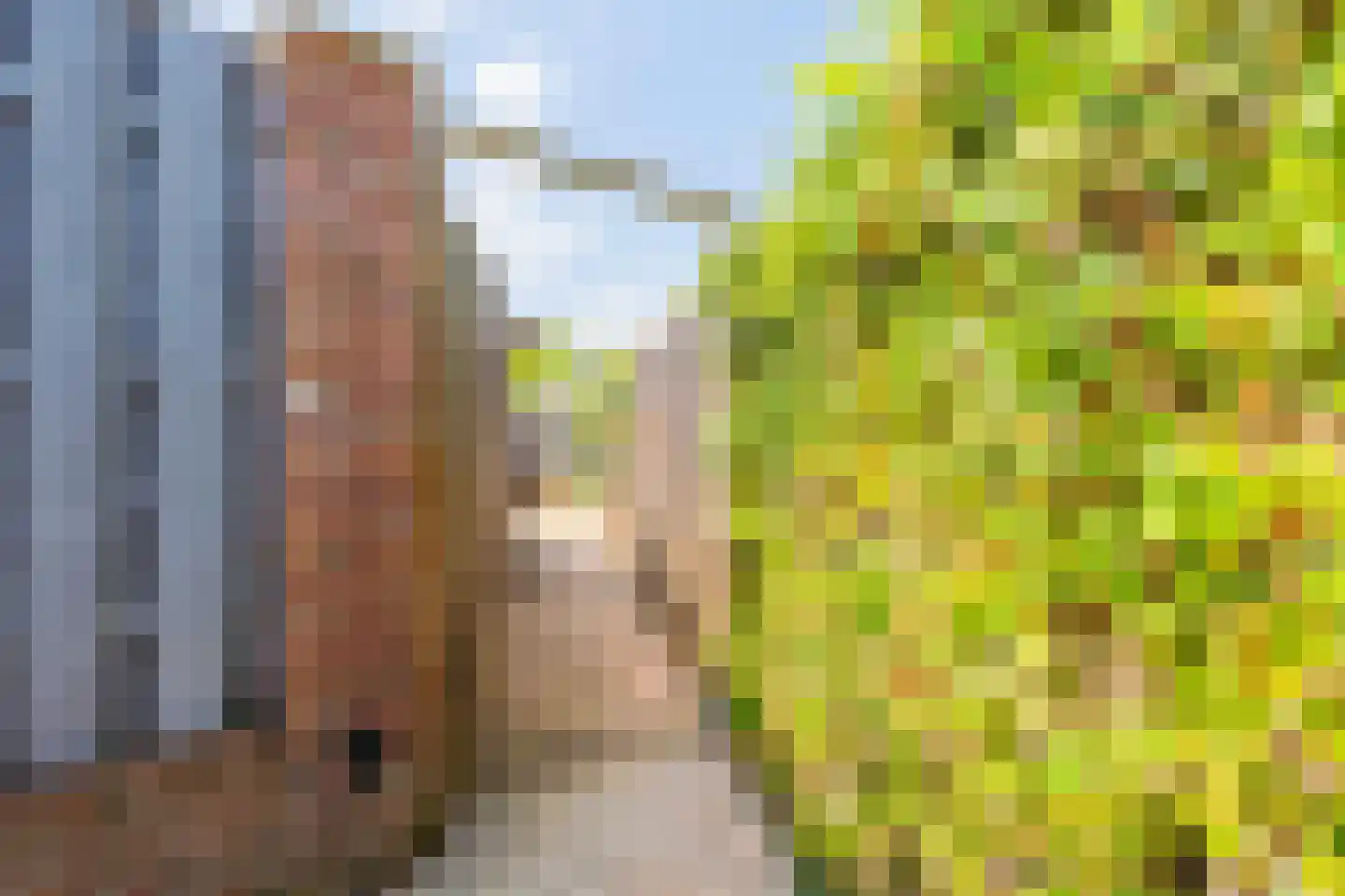 Beatrixstraat 15 Puth thumbnail 13