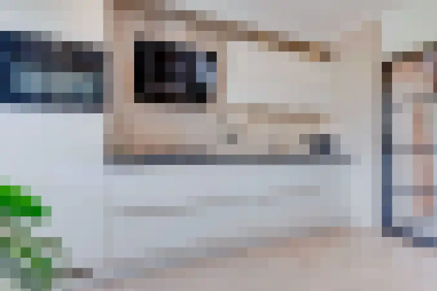 Beatrixstraat 15 Puth thumbnail 9