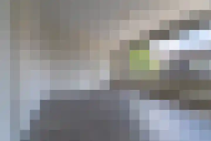 Beatrixstraat 15 Veenendaal thumbnail 8
