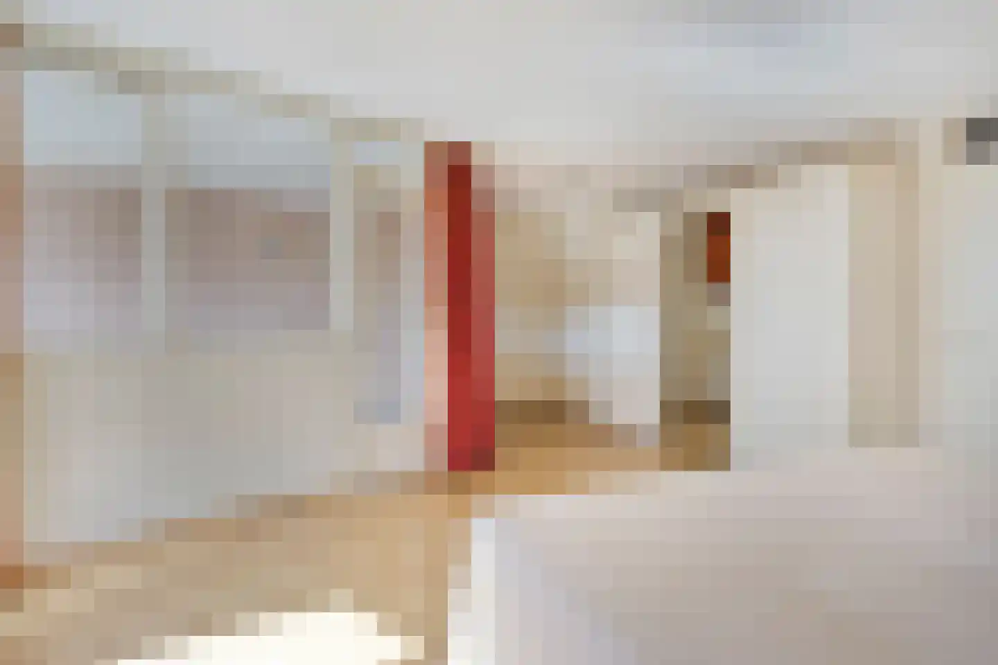 Beatrixstraat 16 Oldenzaal thumbnail 18