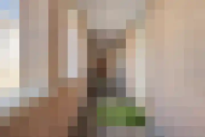 Beatrixstraat 16 Oldenzaal thumbnail 4