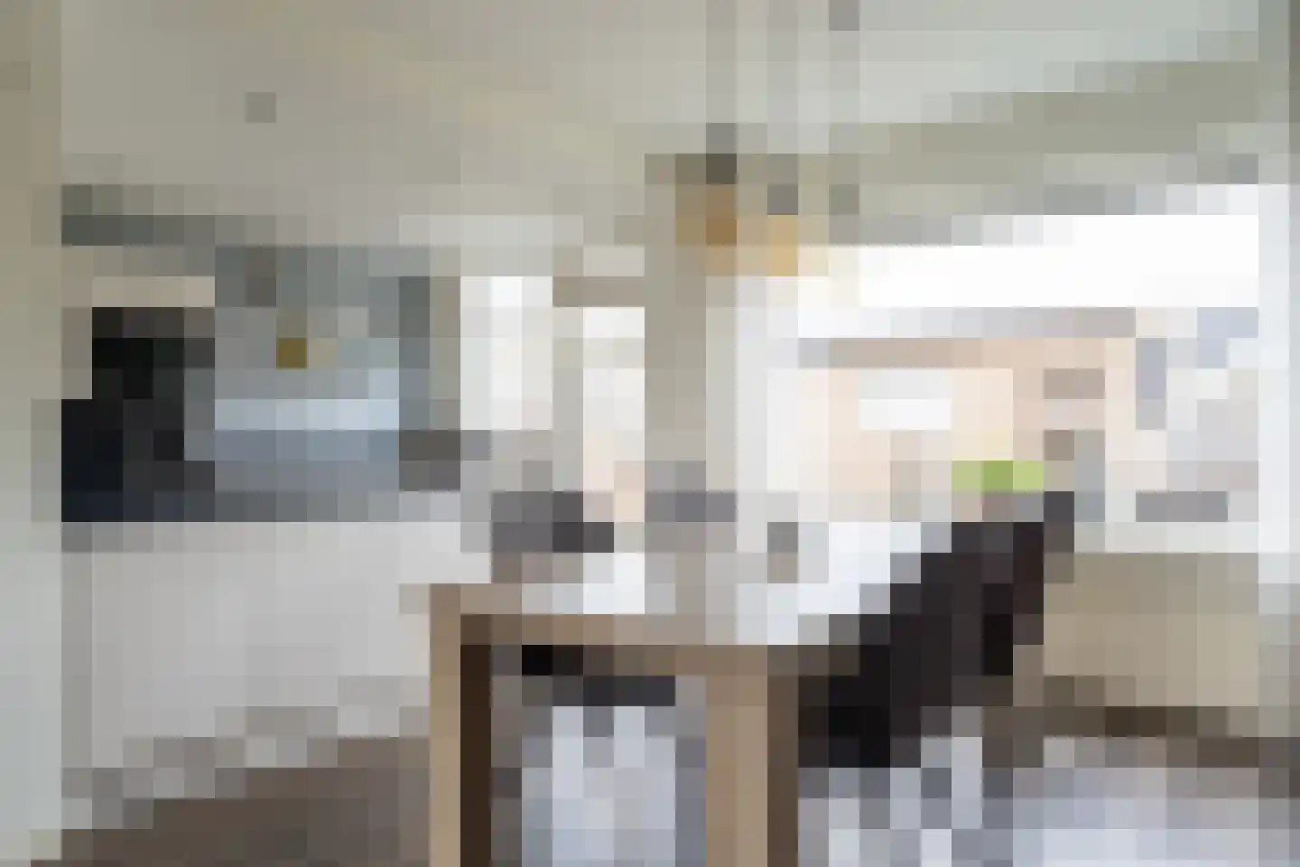 Beatrixstraat 16 Sprang-Capelle thumbnail 11
