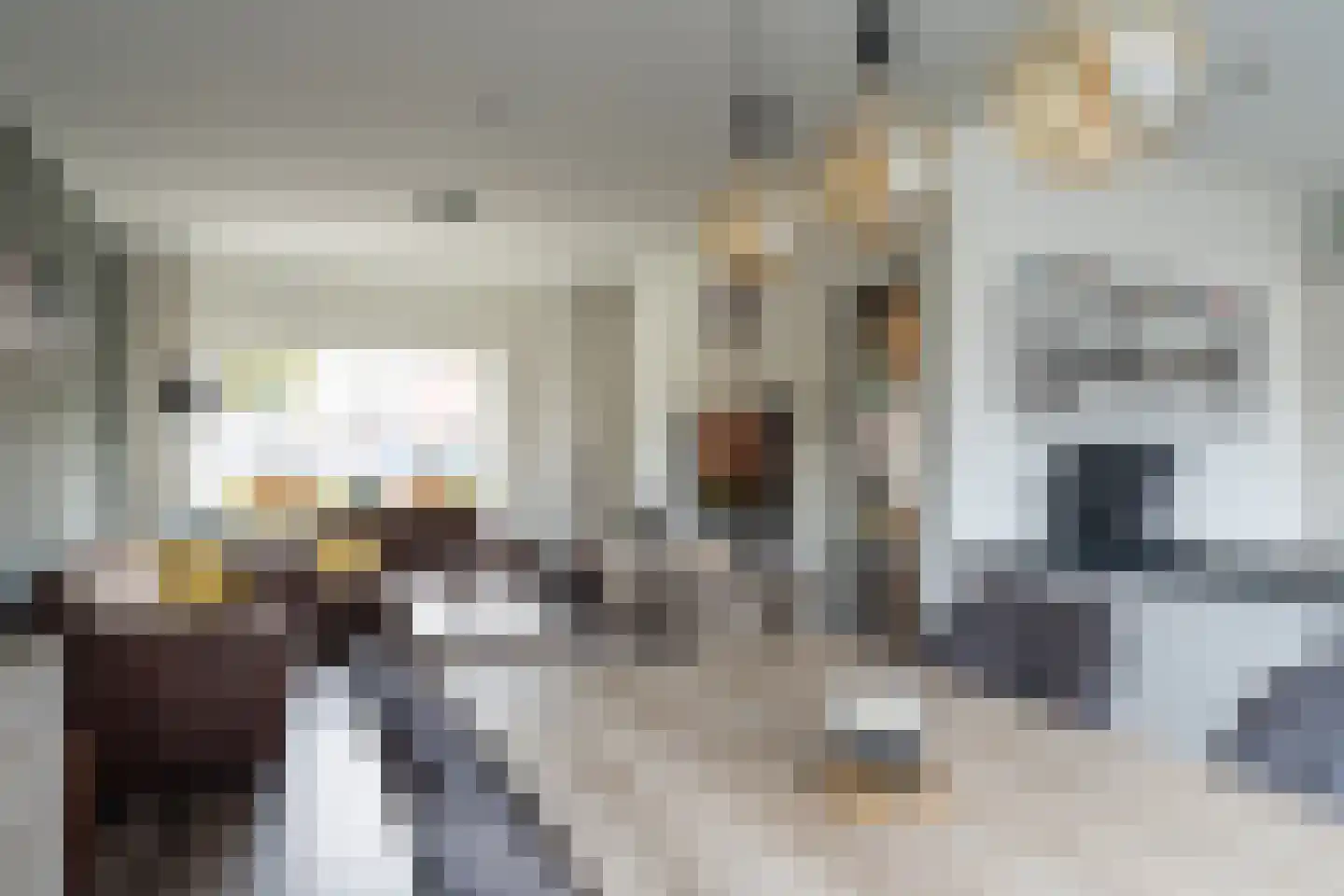 Beatrixstraat 16 Sprang-Capelle thumbnail 12