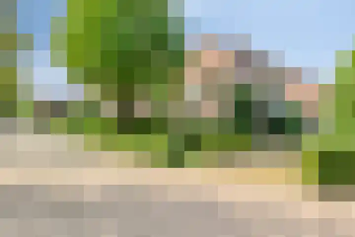 Beatrixstraat 17 Bakel thumbnail 4