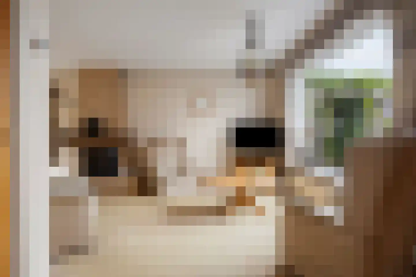 Beatrixstraat 17 Nijkerk thumbnail 7