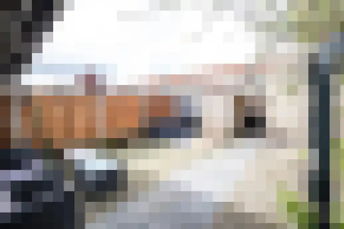Beatrixstraat 18 Almelo thumbnail 29