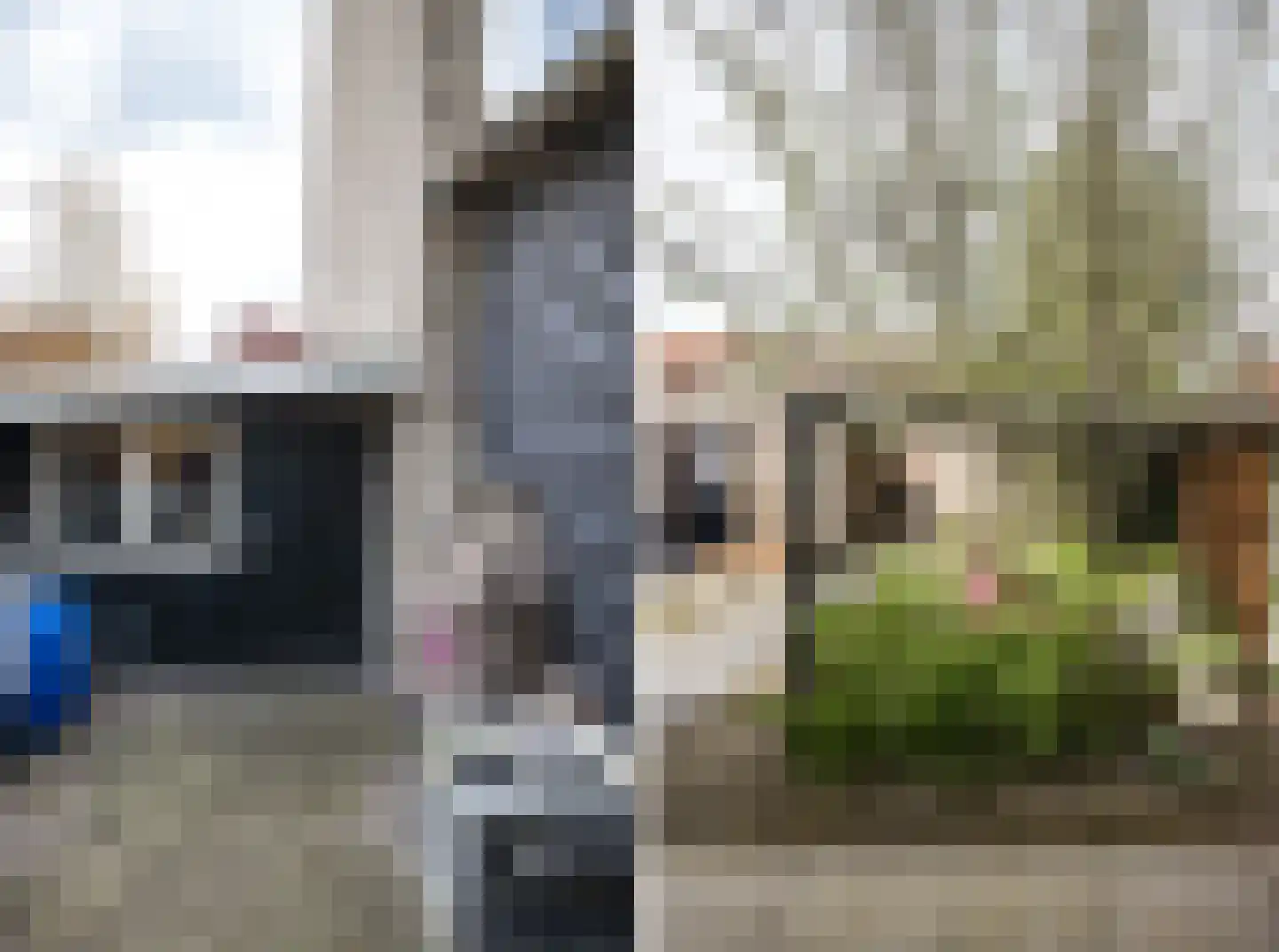 Beatrixstraat 18 Almelo thumbnail 32